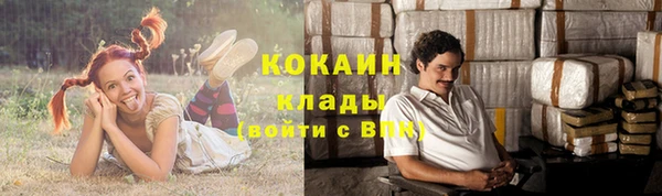 прущие крисы Гусь-Хрустальный
