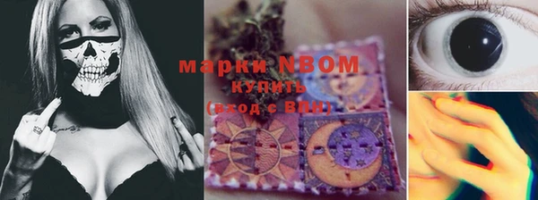дурь Гусиноозёрск