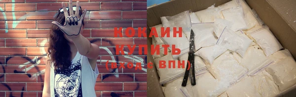 дурь Гусиноозёрск