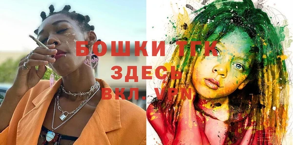 дурь Гусиноозёрск