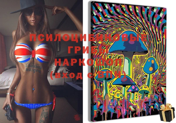 дурь Гусиноозёрск