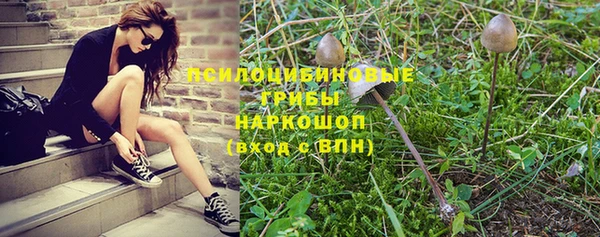дурь Гусиноозёрск